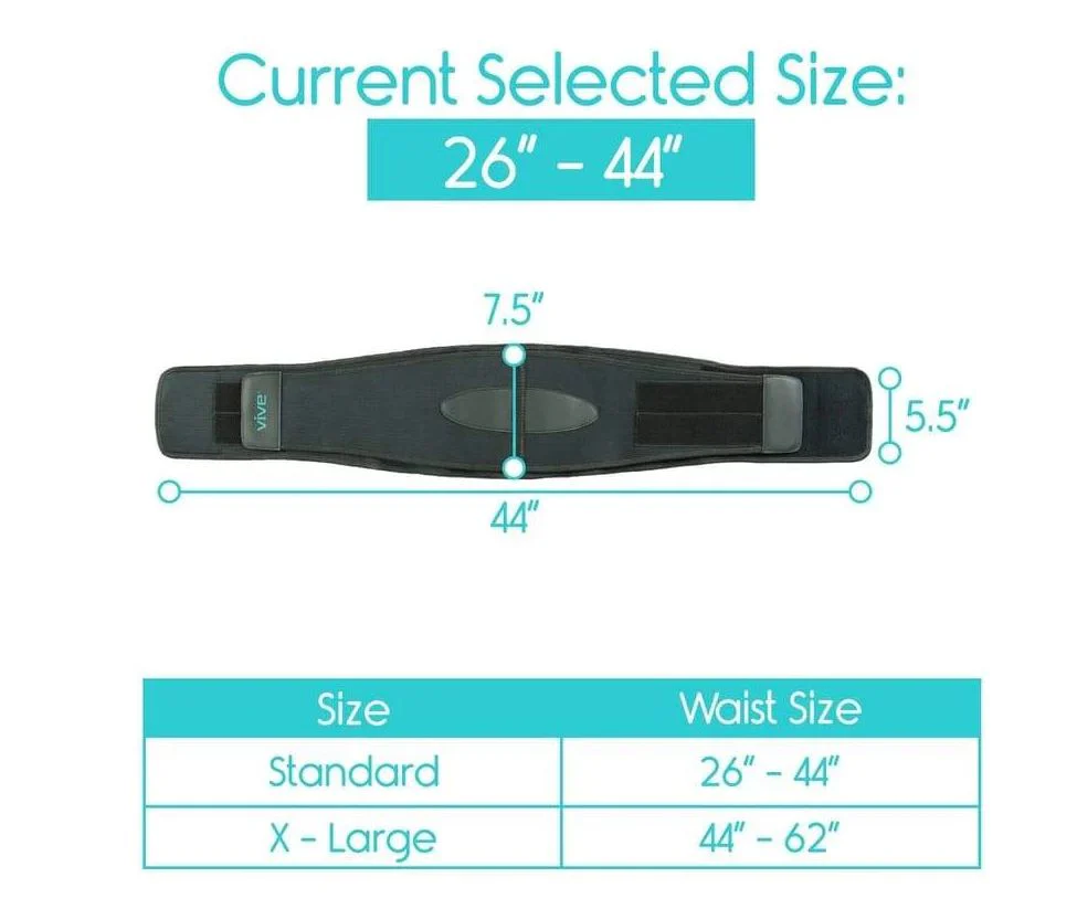 Vive 625 Back Brace Cortech - Image 5